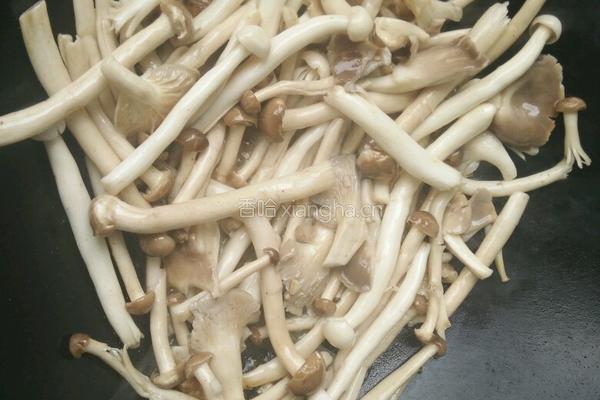 三菇炒肉片的做法图解4