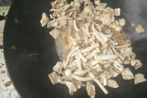三菇炒肉片的做法图解9