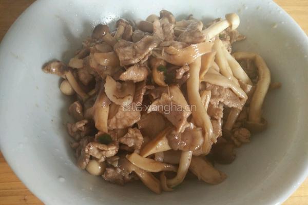 三菇炒肉片的做法图解14