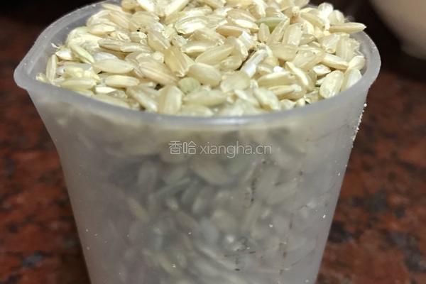 发芽糙米糊的做法图解1