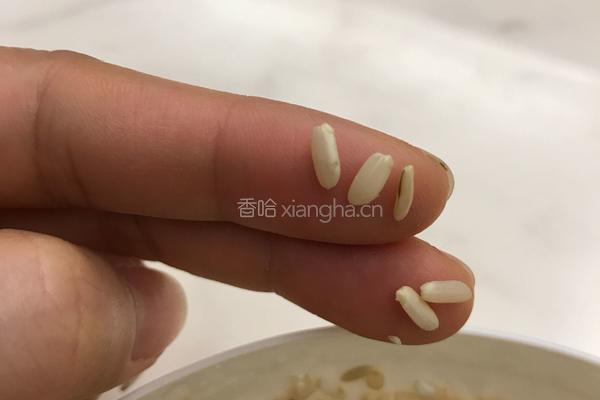 发芽糙米糊的做法图解3