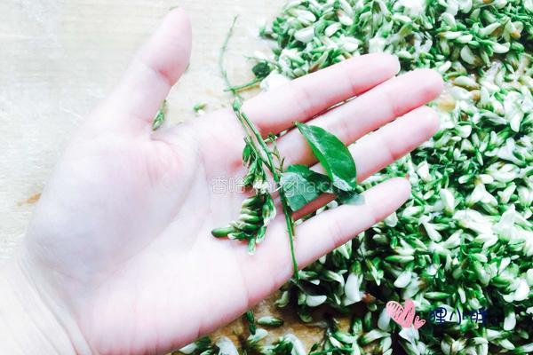 蒸槐花的做法图解4