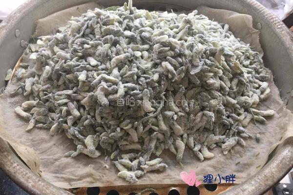 蒸槐花的做法图解11
