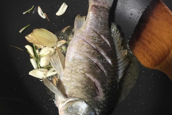 鲫鱼炖豆腐的做法图解6