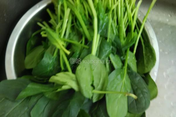 凉拌蒜末菠菜的做法图解2