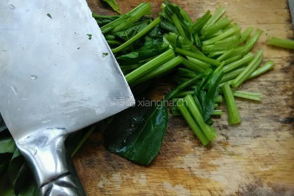 凉拌蒜末菠菜的做法图解4