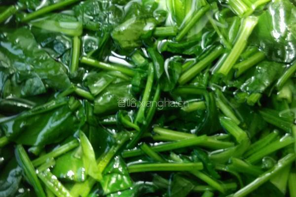 凉拌蒜末菠菜的做法图解6