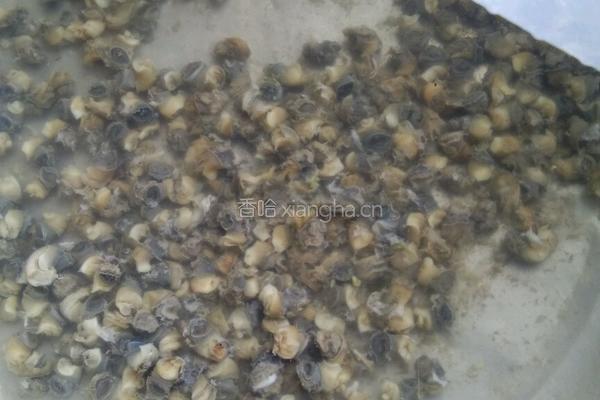 螺肉炒南瓜的做法图解2