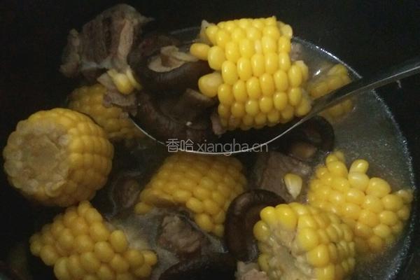 香菇玉米排骨汤的做法图解5