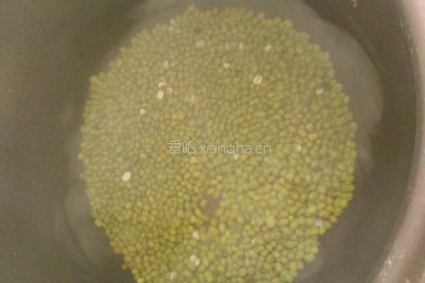 绿豆汤的做法图解5