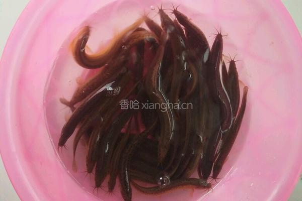 香辣干煸泥鳅的做法图解1