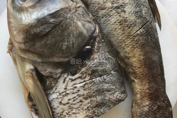 铁锅炖胖头鱼的做法图解2