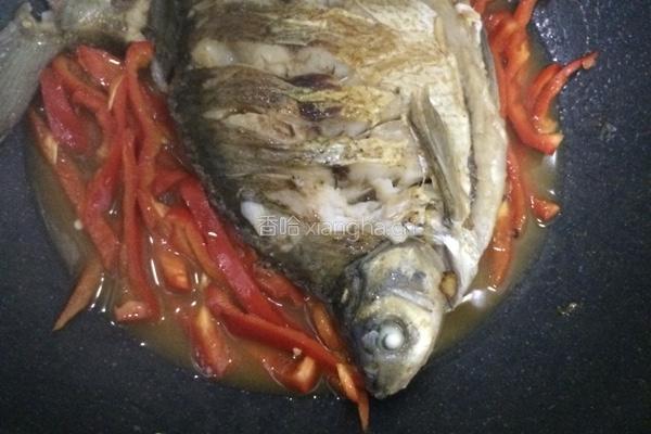 一条扁鱼
