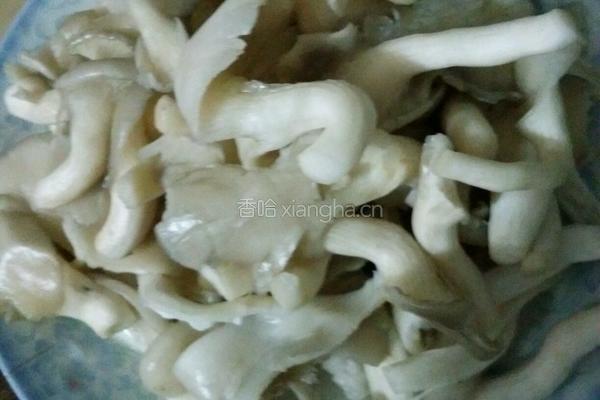 秀珍菇煮肉的做法图解1