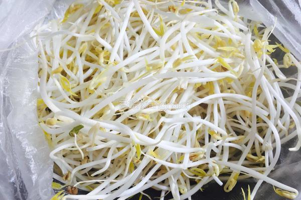 凉拌黄瓜绿豆芽的做法图解1