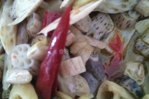 鹅肠藕尖的做法图解3