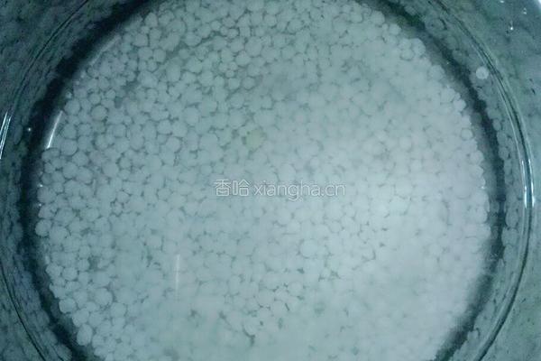 元气满满芒果西米露的做法图解1