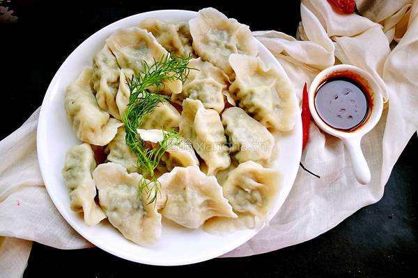「Cathy边吃边营养」茴香猪肉大馅饺子的做法图解11