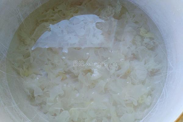 雪梨银耳羹的做法图解5