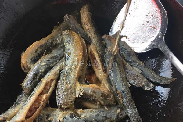 红烧泥鳅的做法图解6
