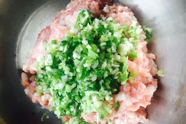 香菇猪肉水饺的做法图解4
