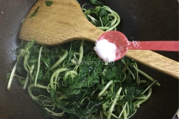 豆酱炒麻叶的做法图解8