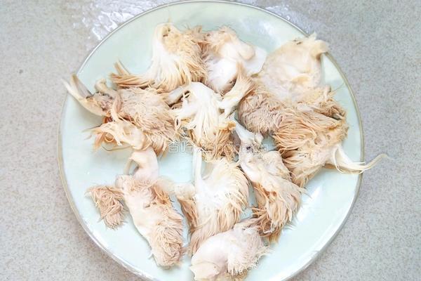 猴头菇炖乌鸡的做法图解3