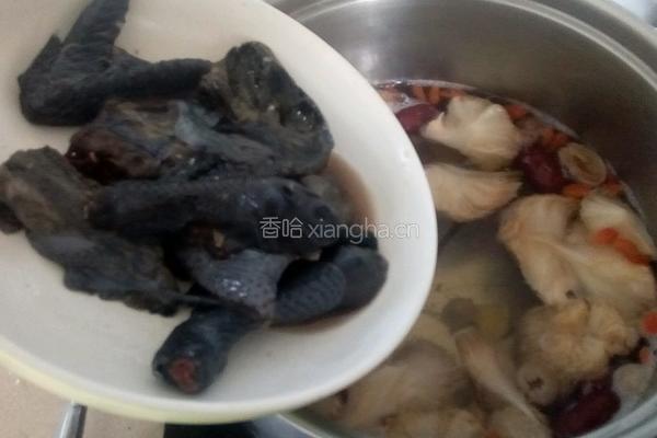猴头菇炖乌鸡的做法图解6