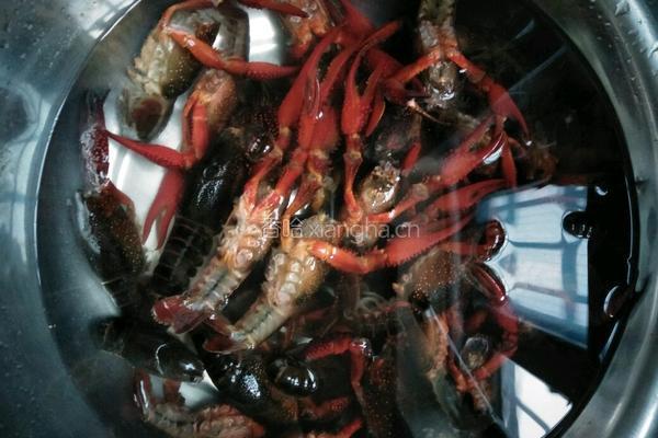 麻辣大龙虾的做法图解6