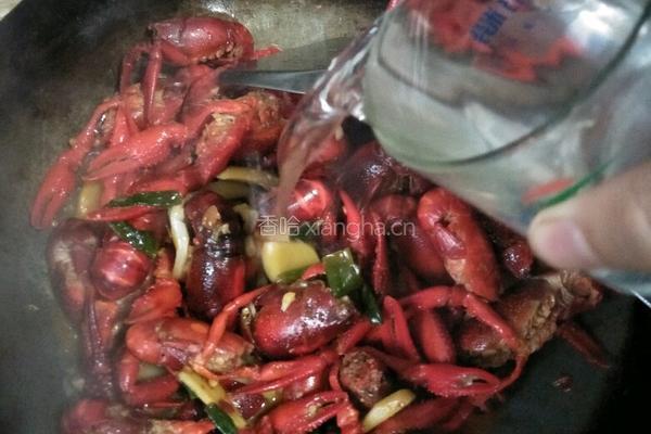 麻辣大龙虾的做法图解18
