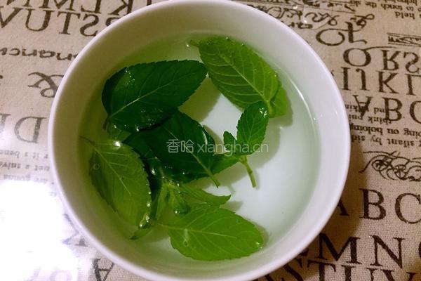 柠檬薄荷饮的做法图解2
