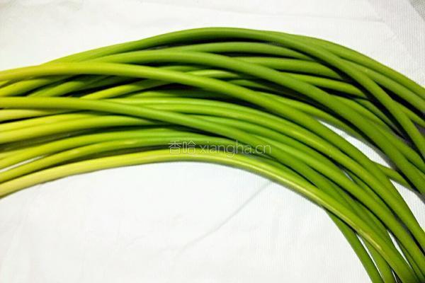 手撕蒜苔的做法图解1
