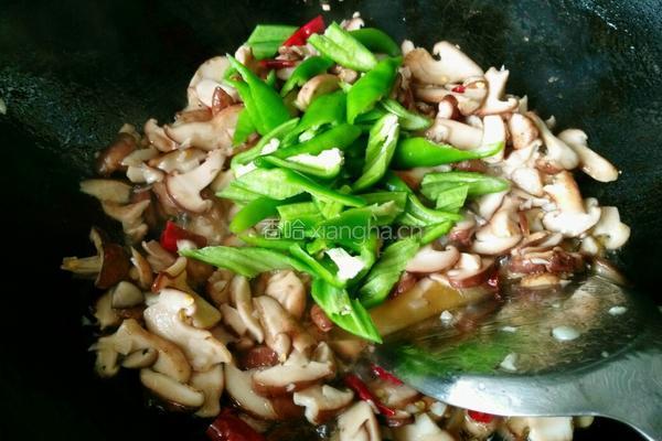 双椒炒香菇的做法图解5