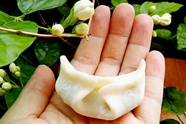 水饺（制作方法）的做法图解13