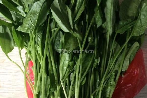 菠菜蒸饺的做法图解1