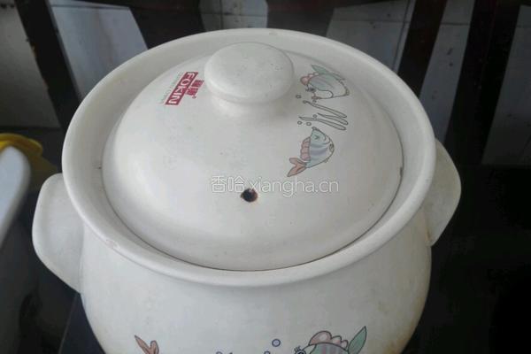 鸽子汤的做法图解9