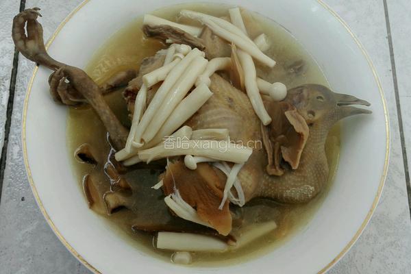 鸽子汤的做法图解10