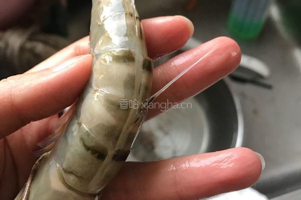 红烧竹节虾的做法图解2