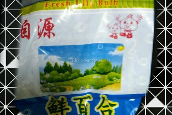 梨子百合羹的做法图解1