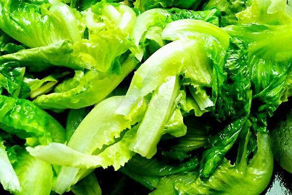 蚝油生菜的做法图解4