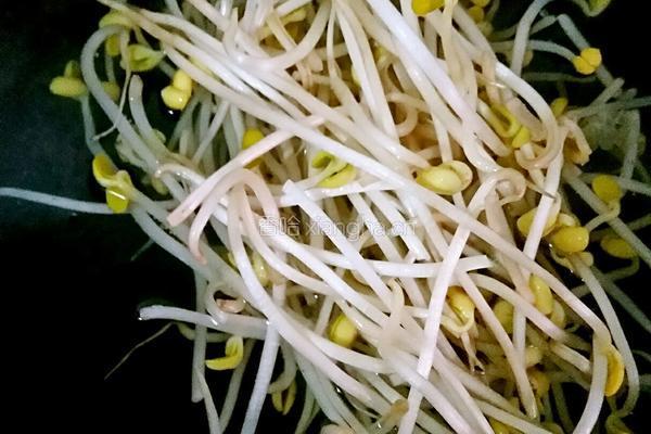 麻辣水煮鱼片的做法图解5
