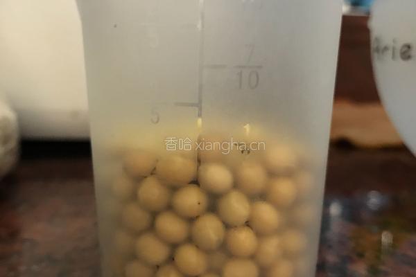 燕麦豆浆的做法图解1