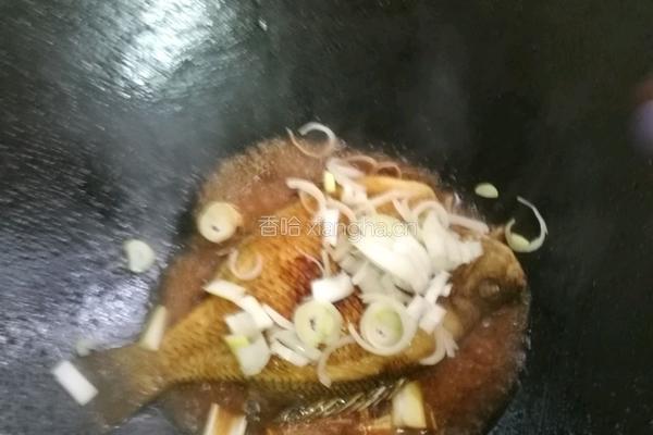香煎太阳鱼的做法图解12