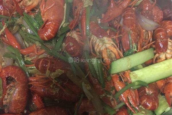 红烧小龙虾的做法图解9