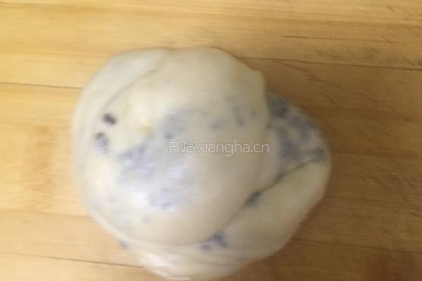 黄豆酱芝麻饼的做法图解5