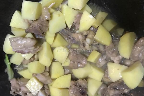鸡腿焖土豆的做法图解6