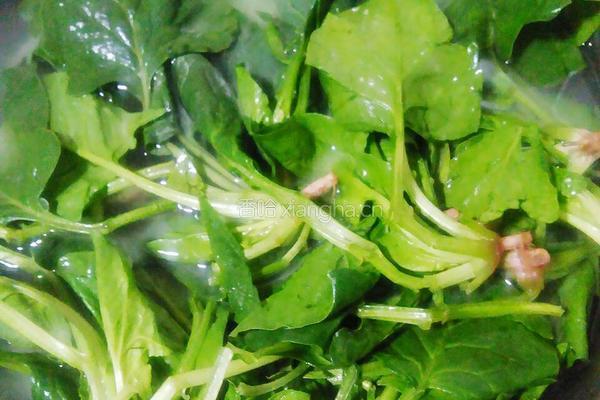 菠菜肉松饼的做法图解1