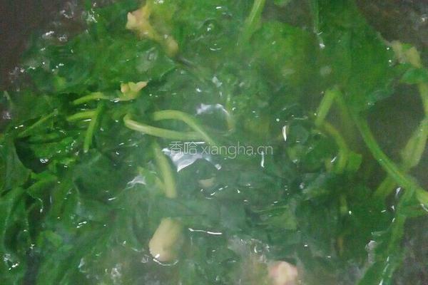 菠菜肉松饼的做法图解2
