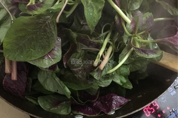 豆酱紫苋菜的做法图解4