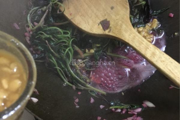 豆酱紫苋菜的做法图解7